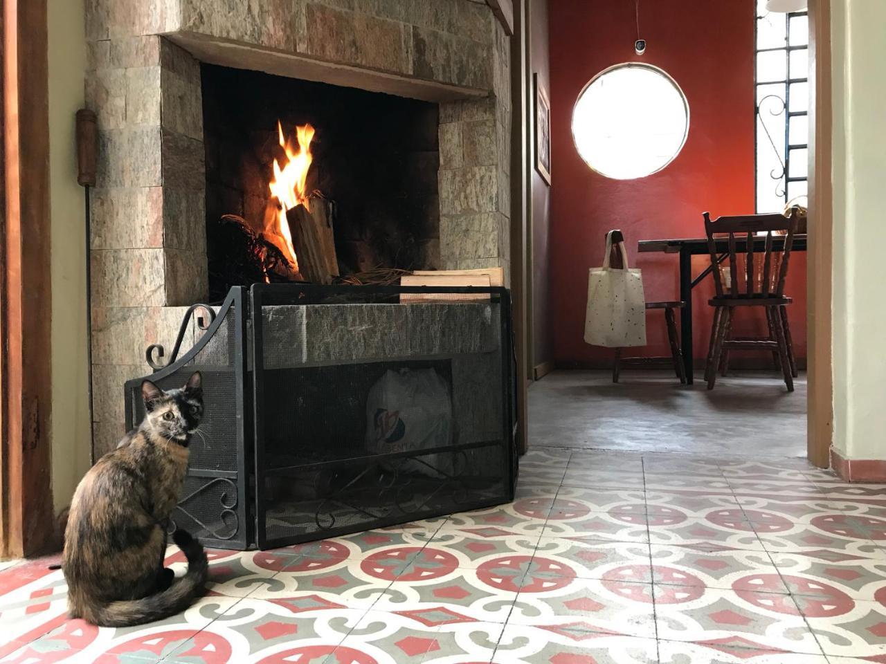 Frida Casa Hostel 펠로타스 외부 사진