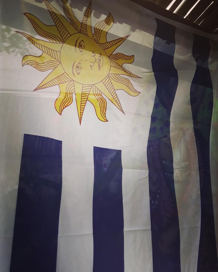 Frida Casa Hostel 펠로타스 외부 사진