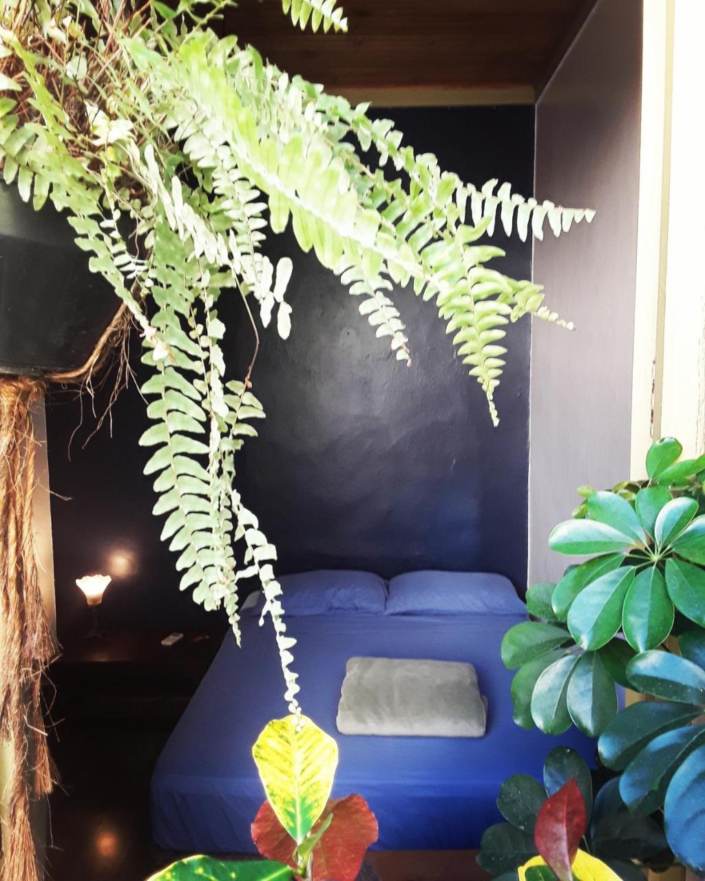 Frida Casa Hostel 펠로타스 외부 사진