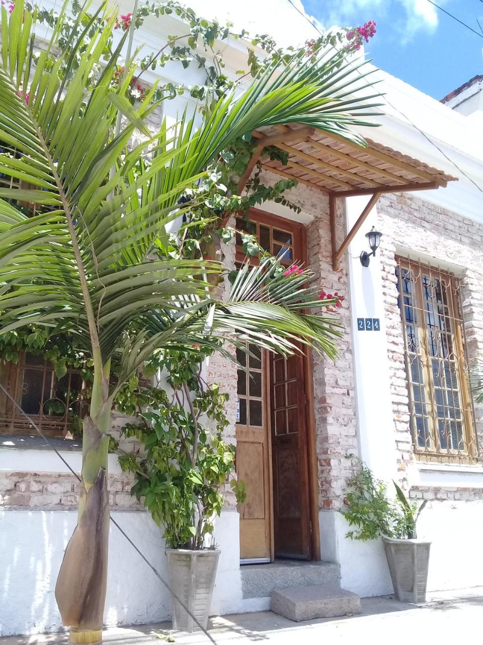 Frida Casa Hostel 펠로타스 외부 사진